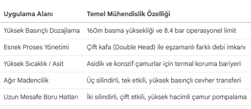 Piston Diyaframlı Pompalar: Mühendislik Seçim ve Uygulama Rehberi
